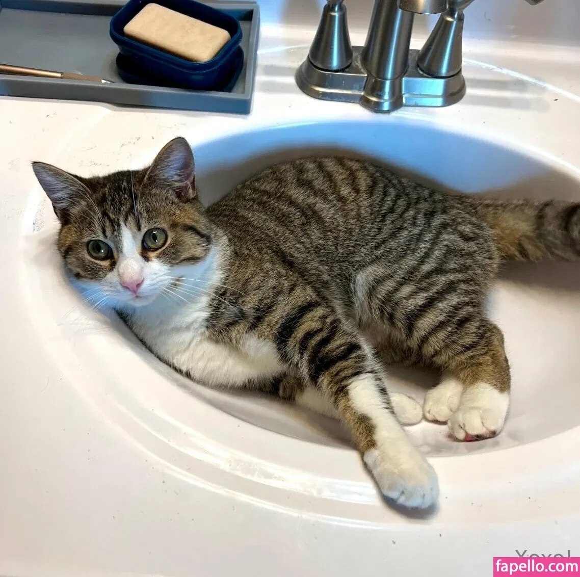 sophiaroseisreal Onlyfans Photo Gallery 