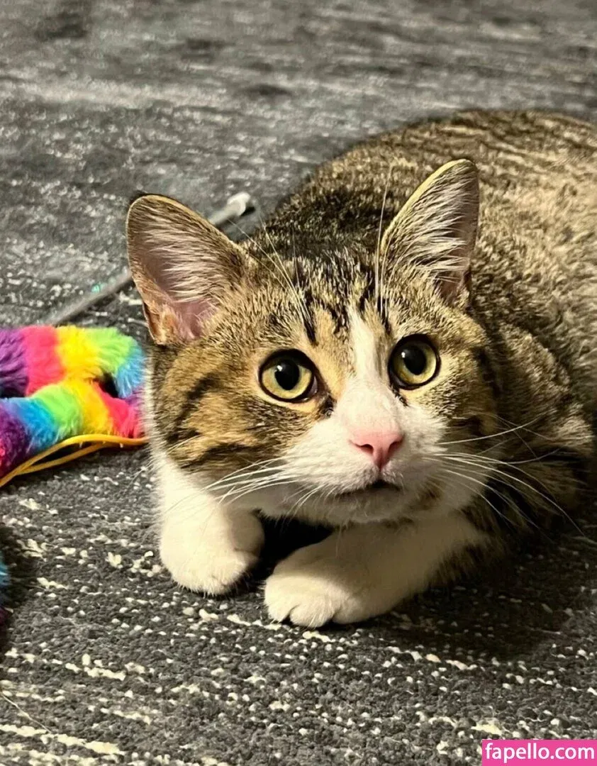 sophiaroseisreal Onlyfans Photo Gallery 