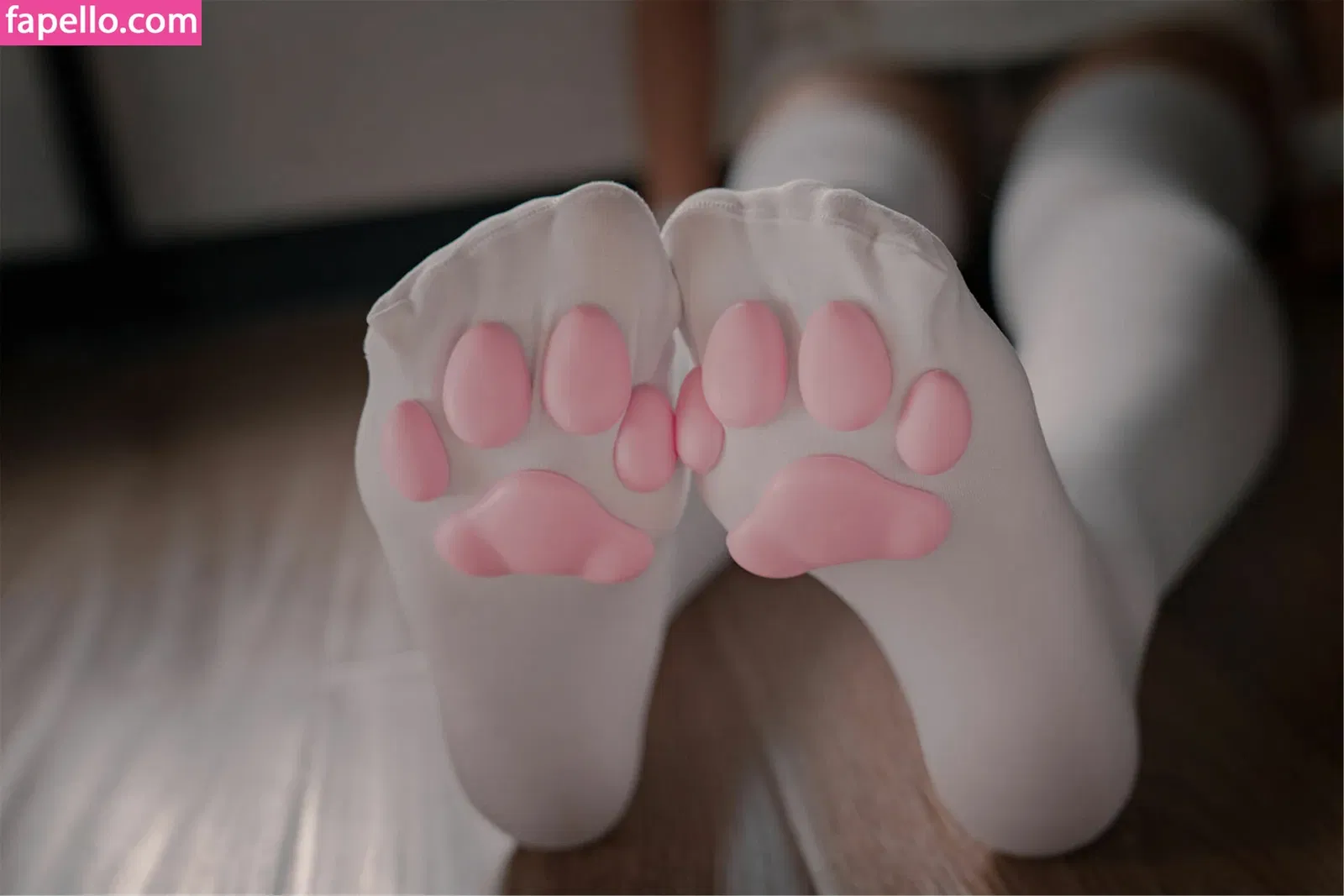 Xansoon Onlyfans Photo Gallery 