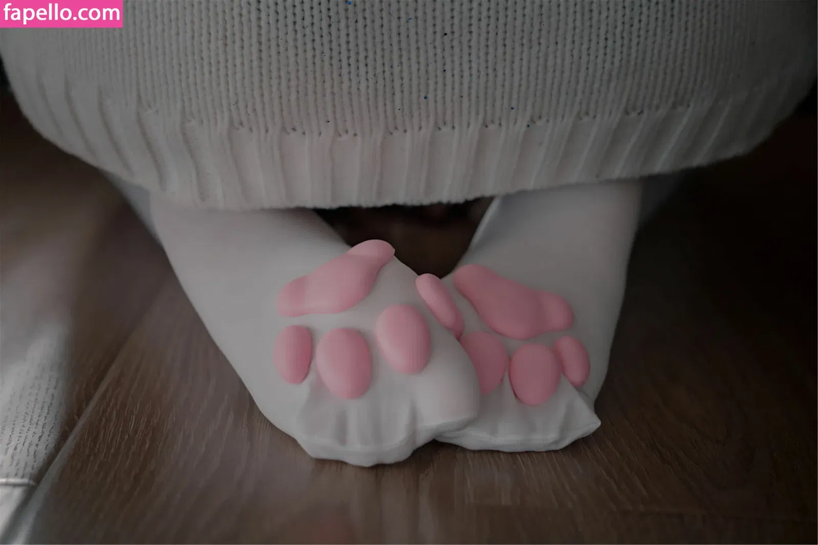 Xansoon Onlyfans Photo Gallery 