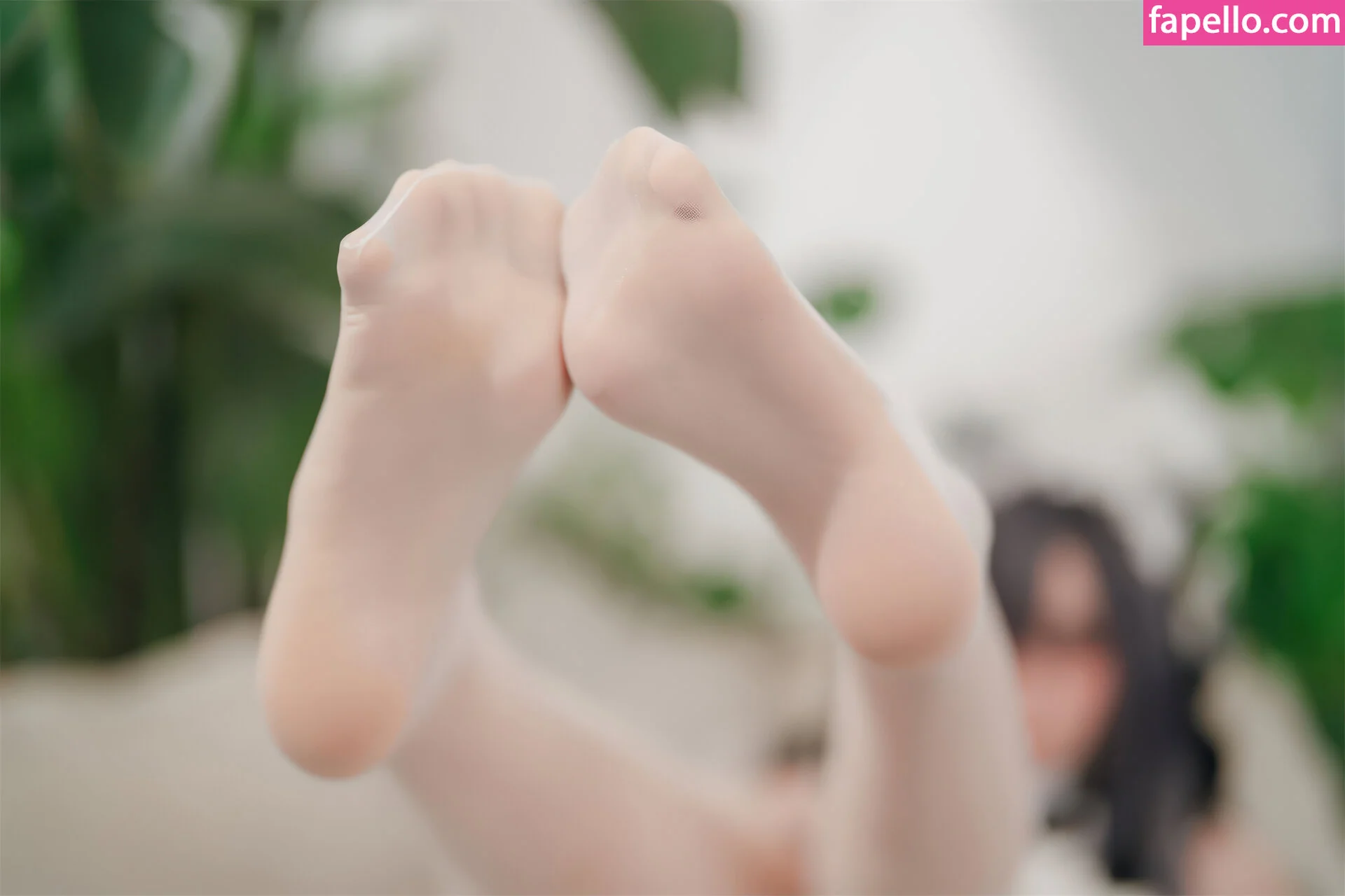 Xansoon Onlyfans Photo Gallery 