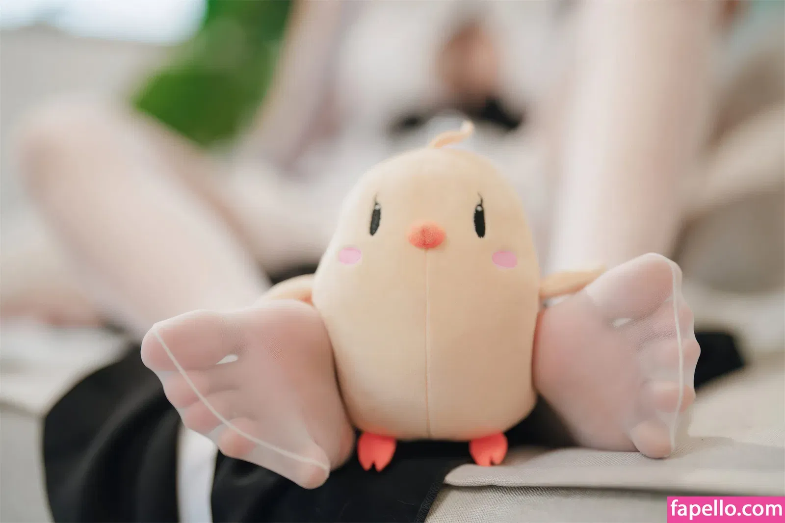 Xansoon Onlyfans Photo Gallery 