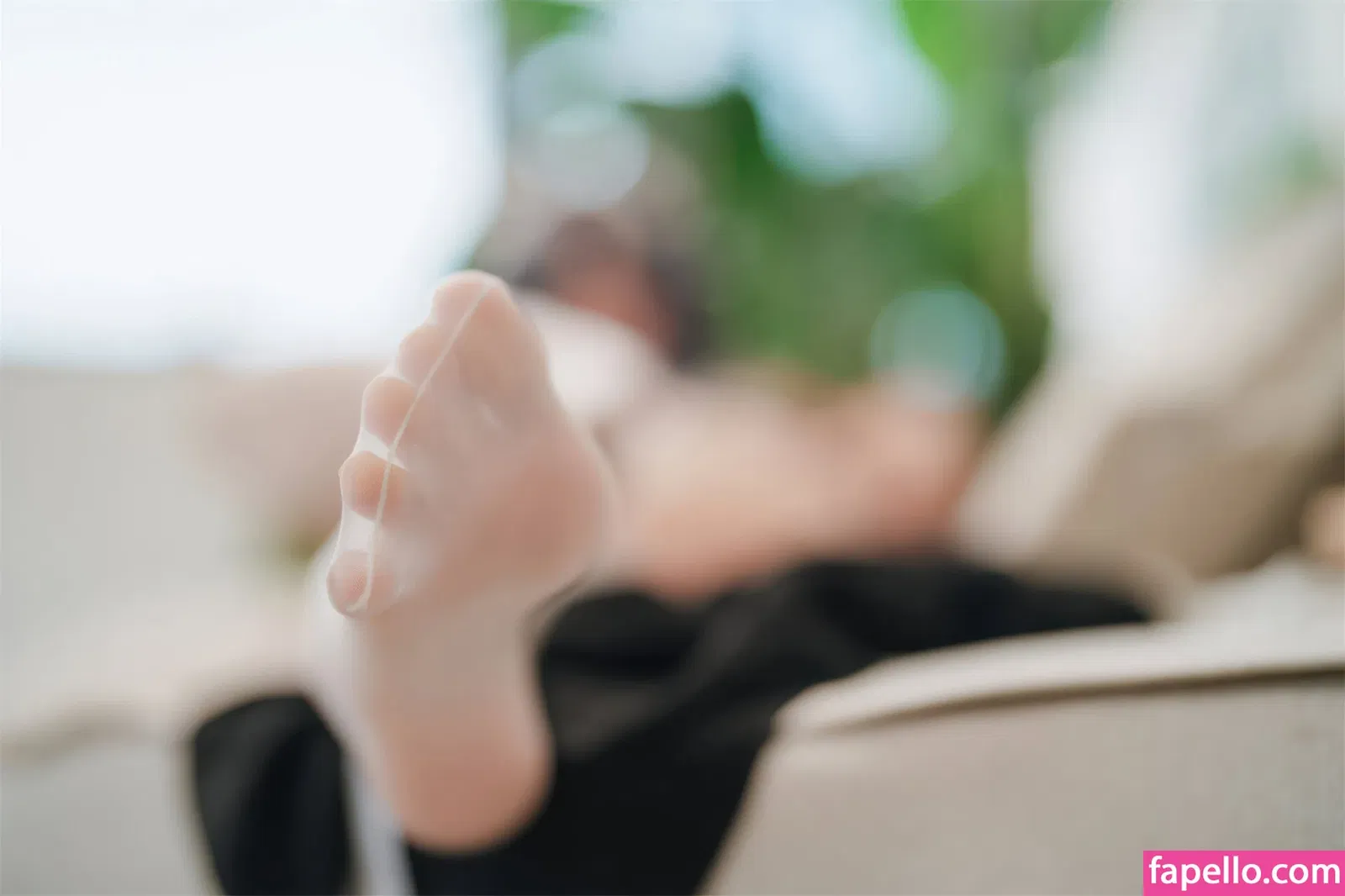 Xansoon Onlyfans Photo Gallery 