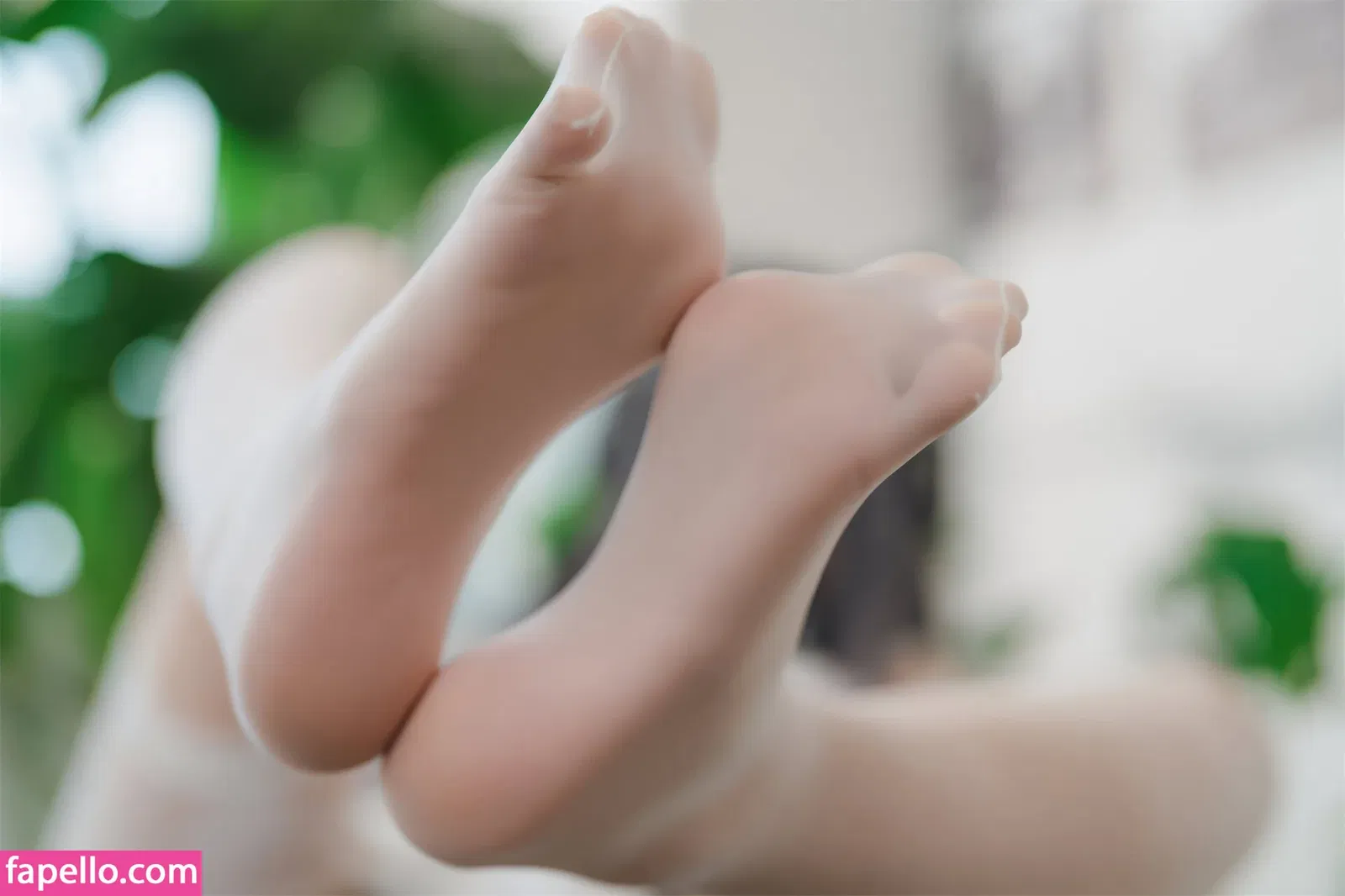 Xansoon Onlyfans Photo Gallery 