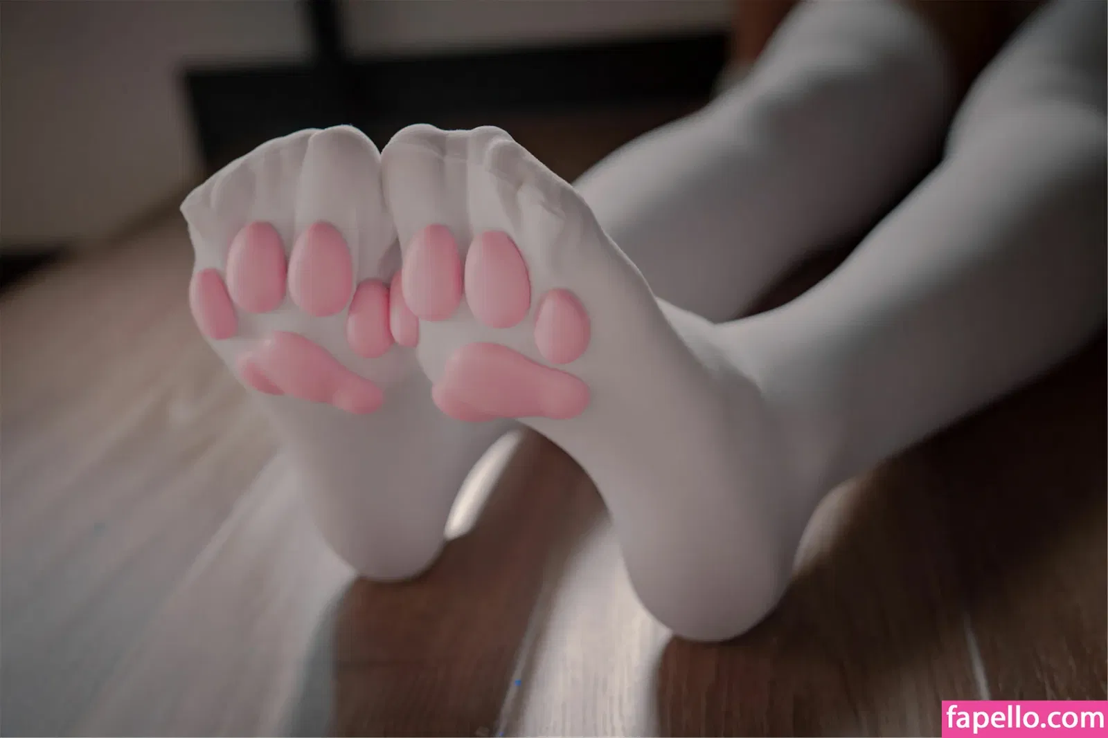 Xansoon Onlyfans Photo Gallery 