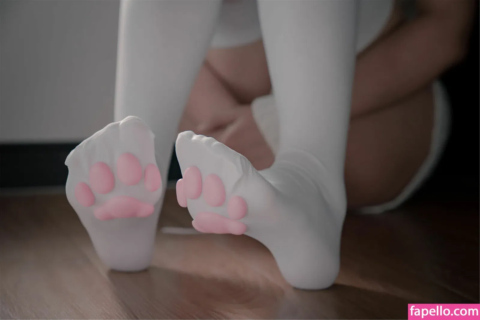 Xansoon Onlyfans Photo Gallery 