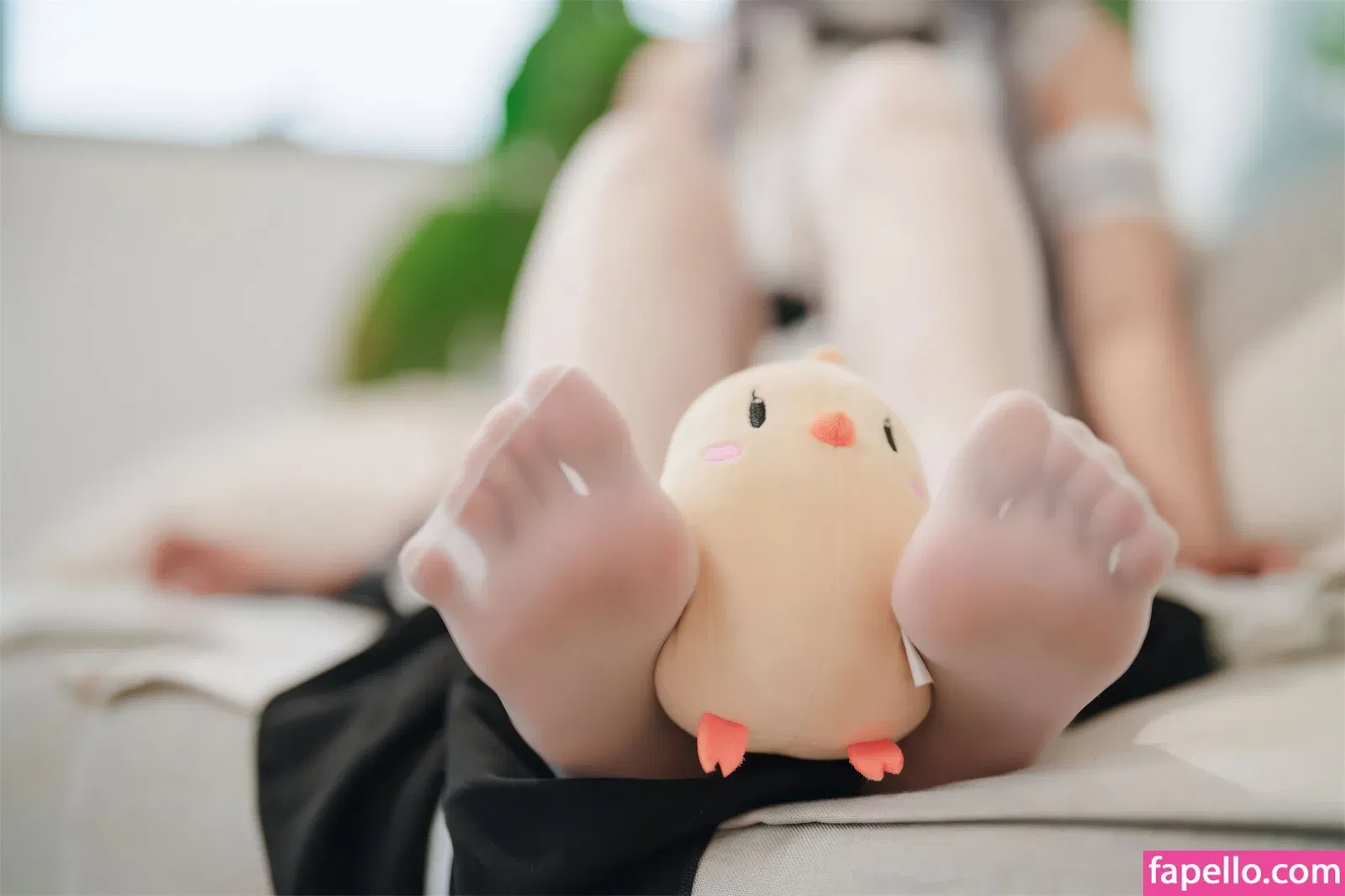 Xansoon Onlyfans Photo Gallery 