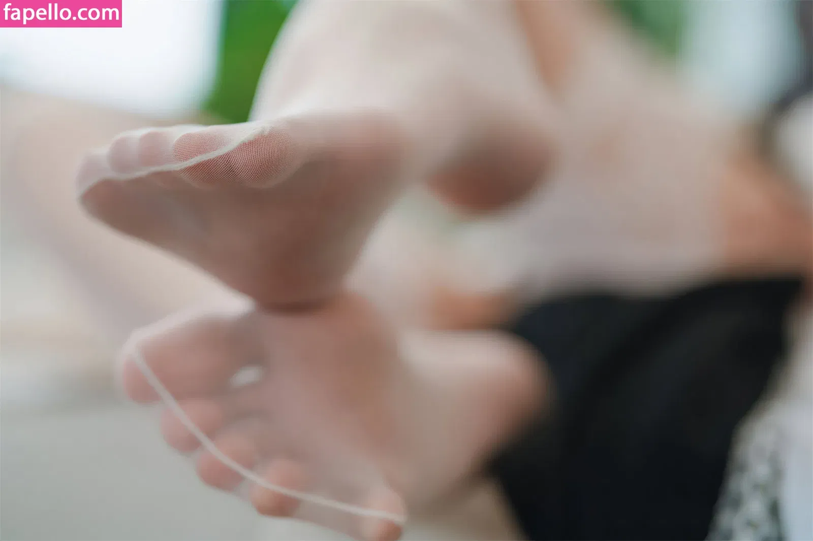 Xansoon Onlyfans Photo Gallery 