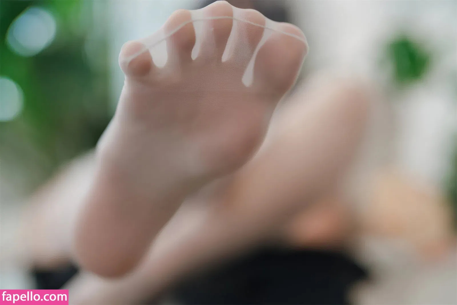 Xansoon Onlyfans Photo Gallery 