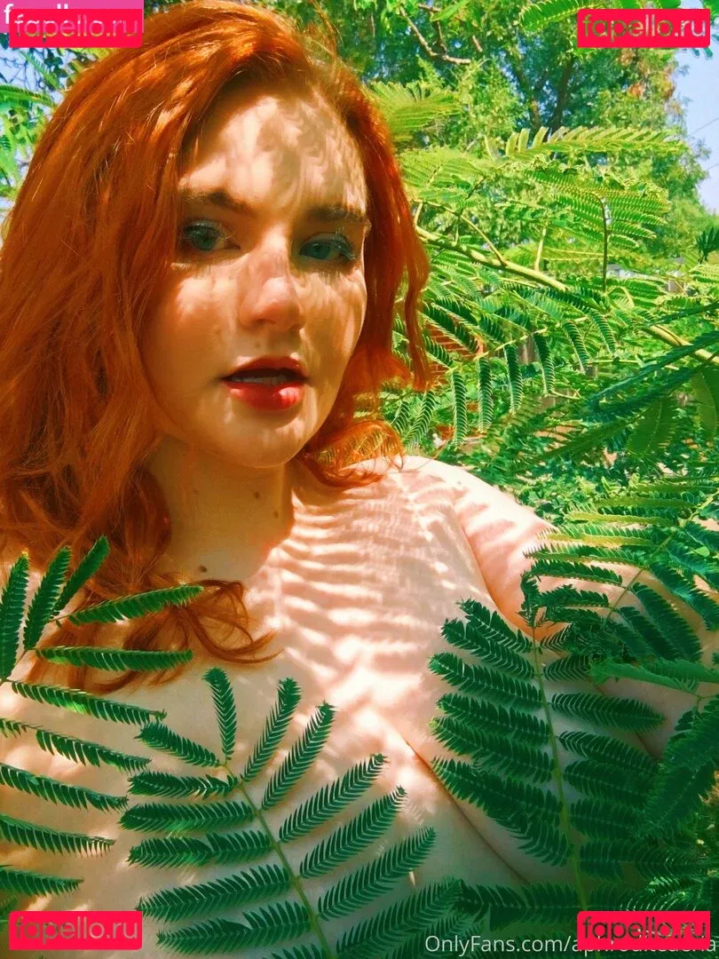 Allisonivyx Onlyfans Photo Gallery 