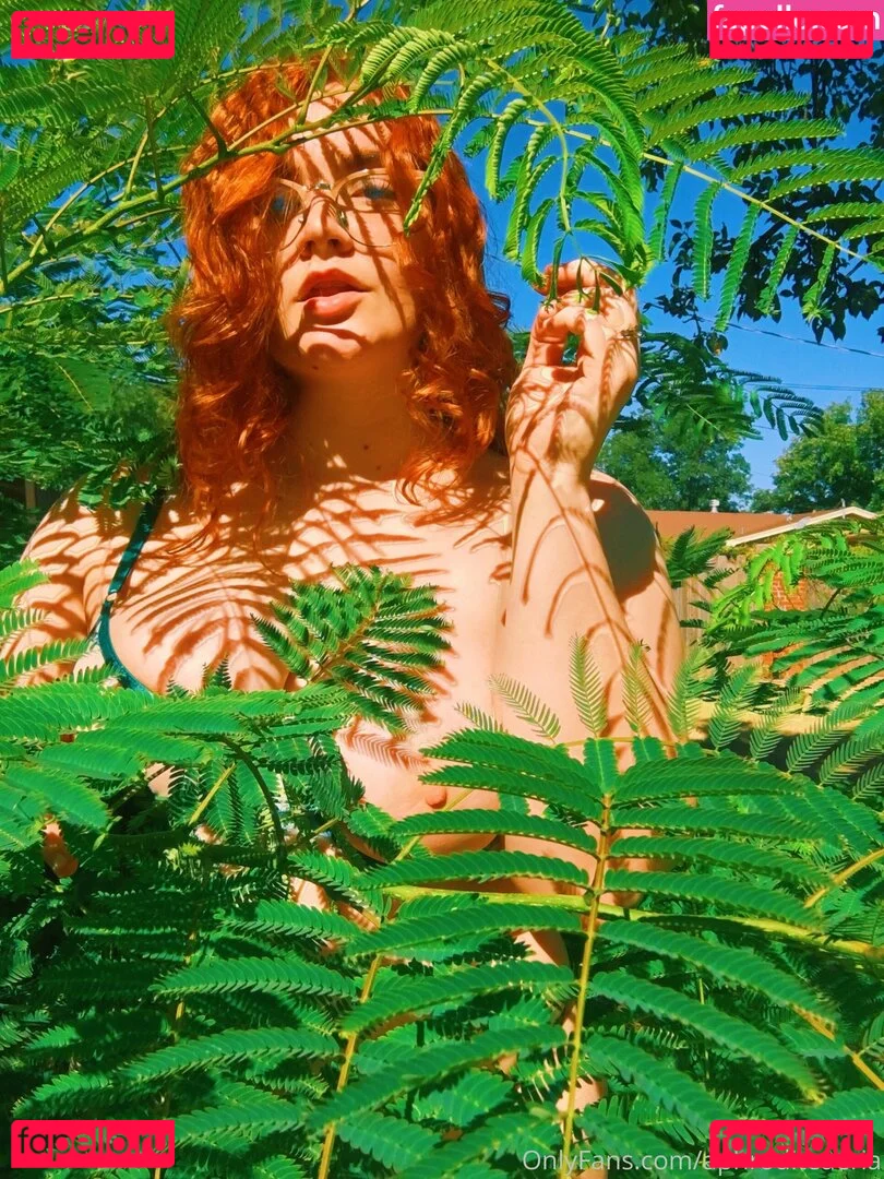 Allisonivyx Onlyfans Photo Gallery 