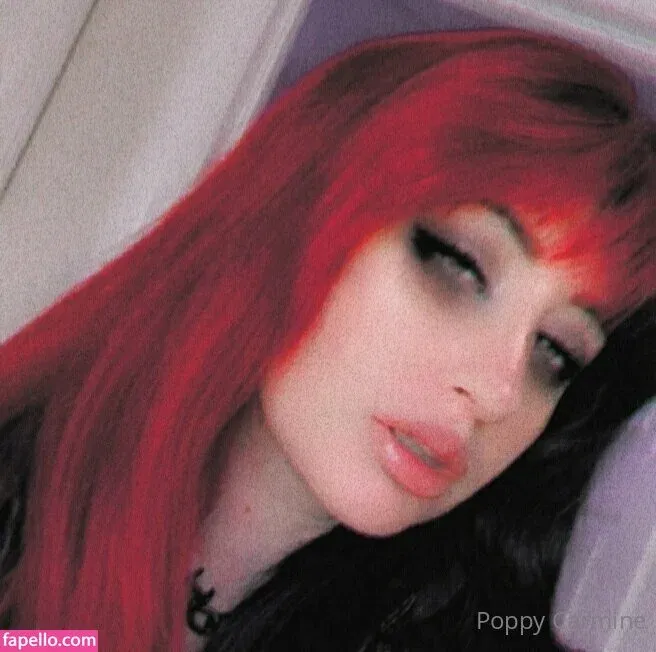 poppycarminexxx Onlyfans Photo Gallery 