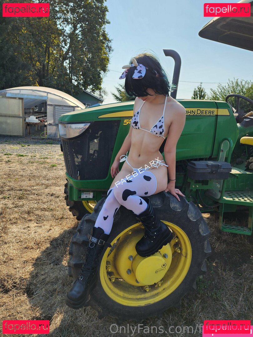 faerry2 / faexbear Onlyfans Photo Gallery 