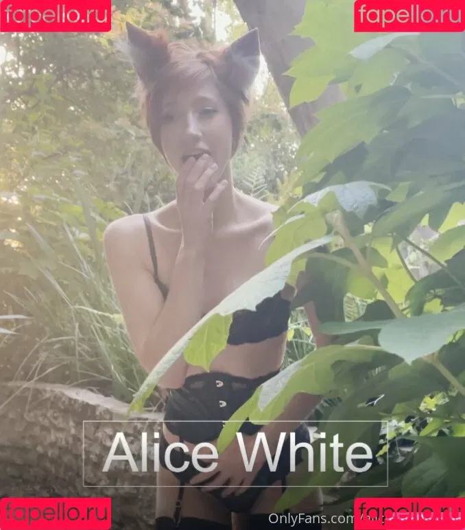aliceoncamfree Onlyfans Photo Gallery 