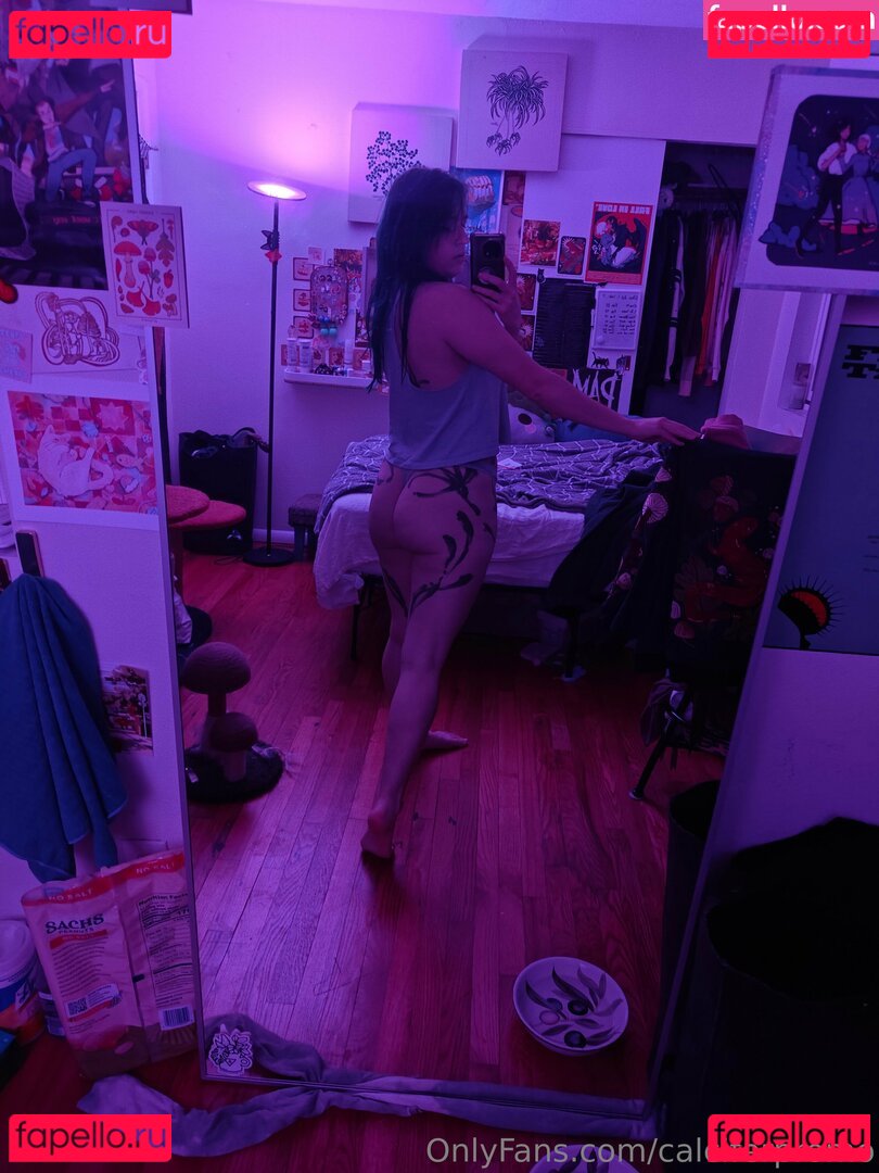 calcifer_o / calciferpromo Onlyfans Photo Gallery 