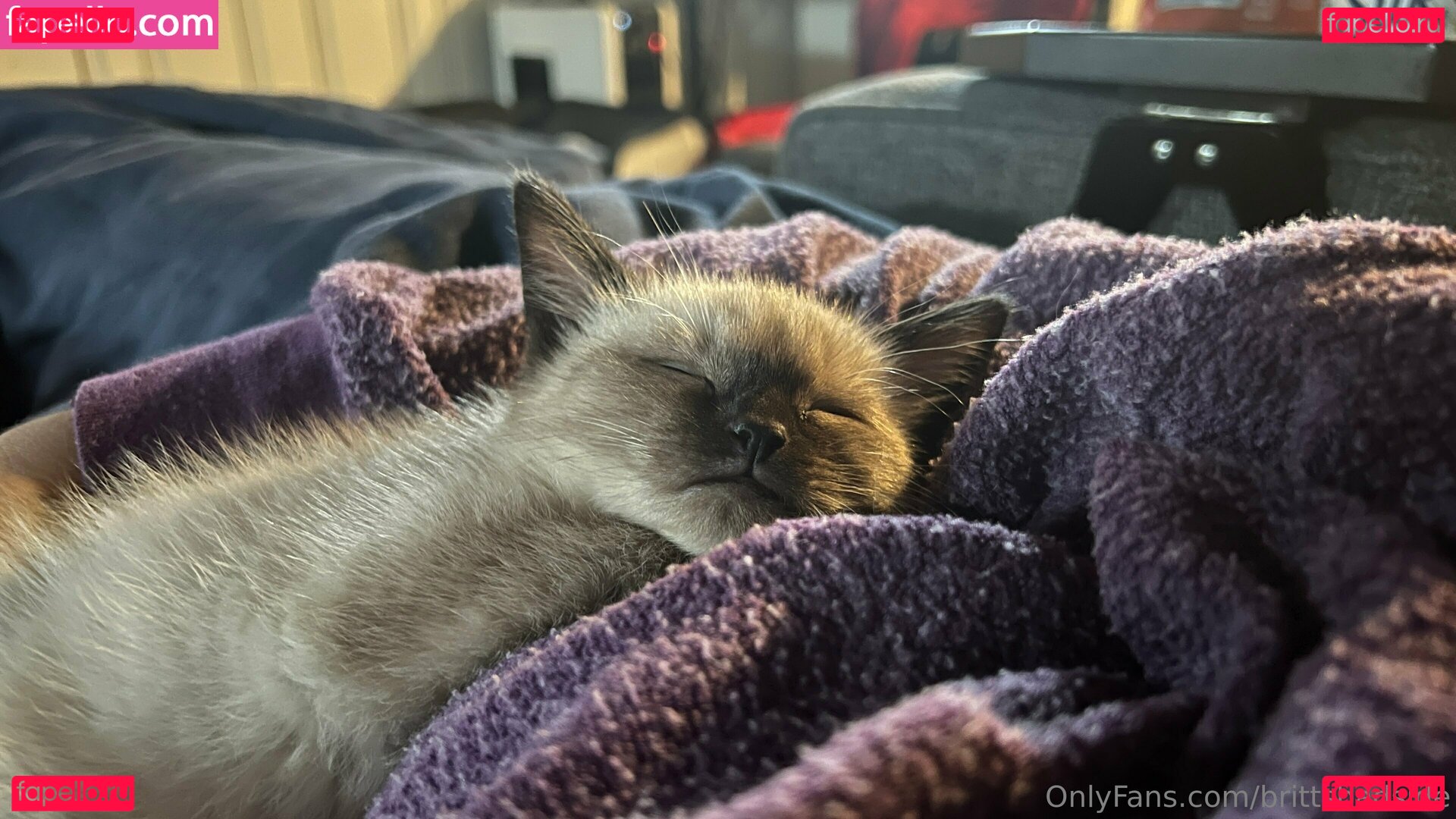 brittsbadside Onlyfans Photo Gallery 