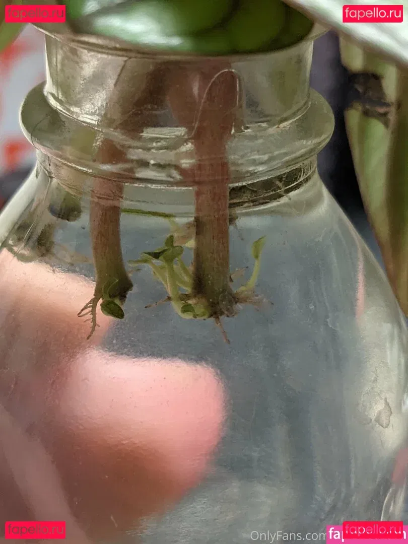 lunarouxfree Onlyfans Photo Gallery 