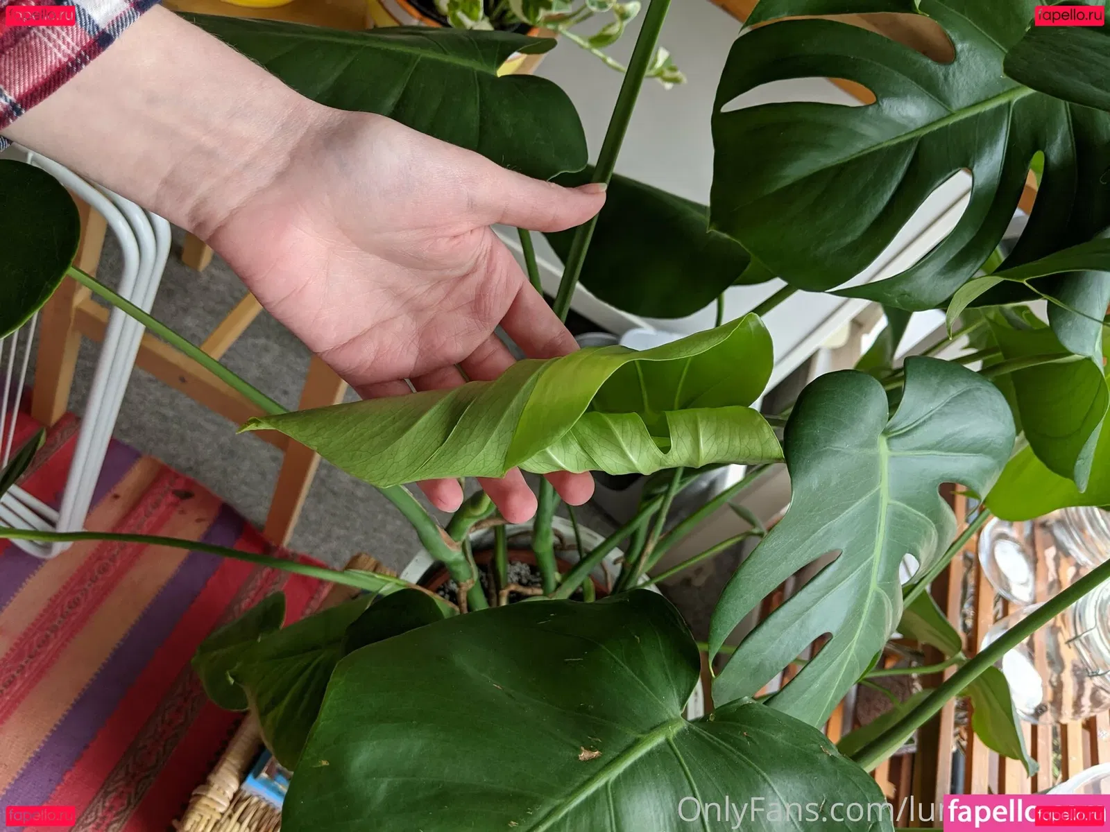 lunarouxfree Onlyfans Photo Gallery 