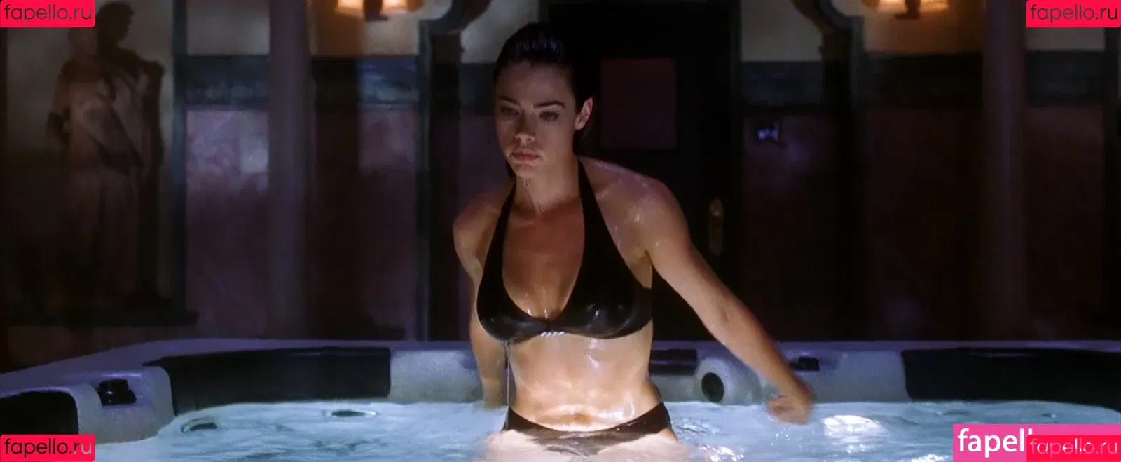 Denise Richards Onlyfans Photo Gallery 