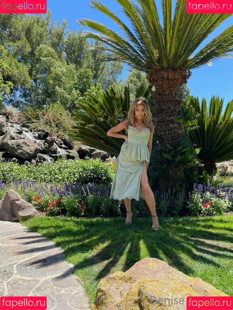 Denise Richards Onlyfans Photo Gallery 