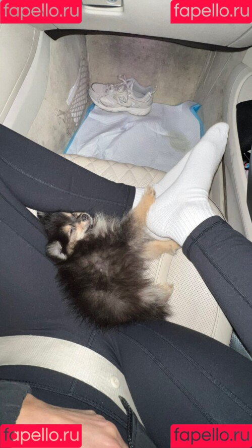 Sssniperwolf Onlyfans Photo Gallery 