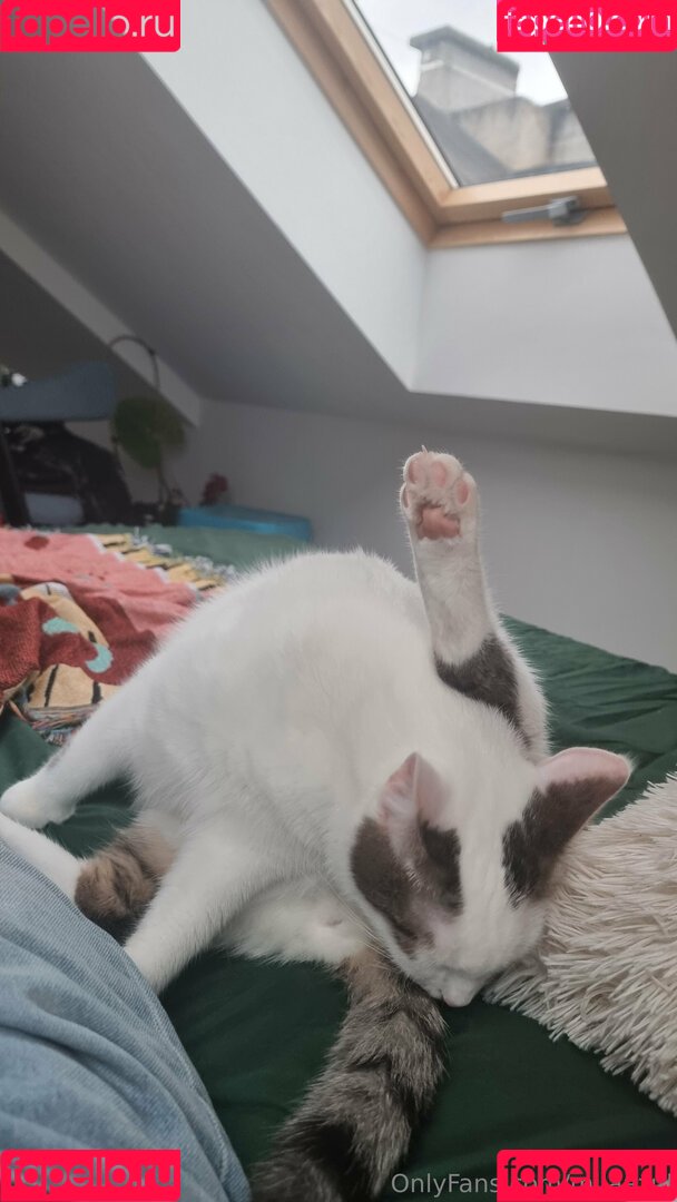 milaazul Onlyfans Photo Gallery 