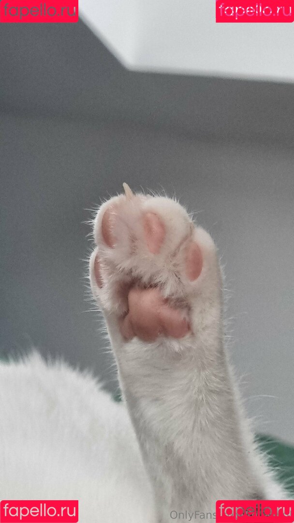 milaazul Onlyfans Photo Gallery 