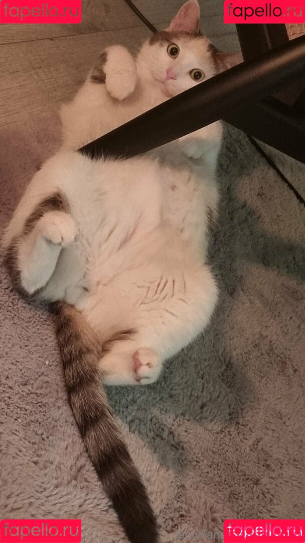 milaazul Onlyfans Photo Gallery 