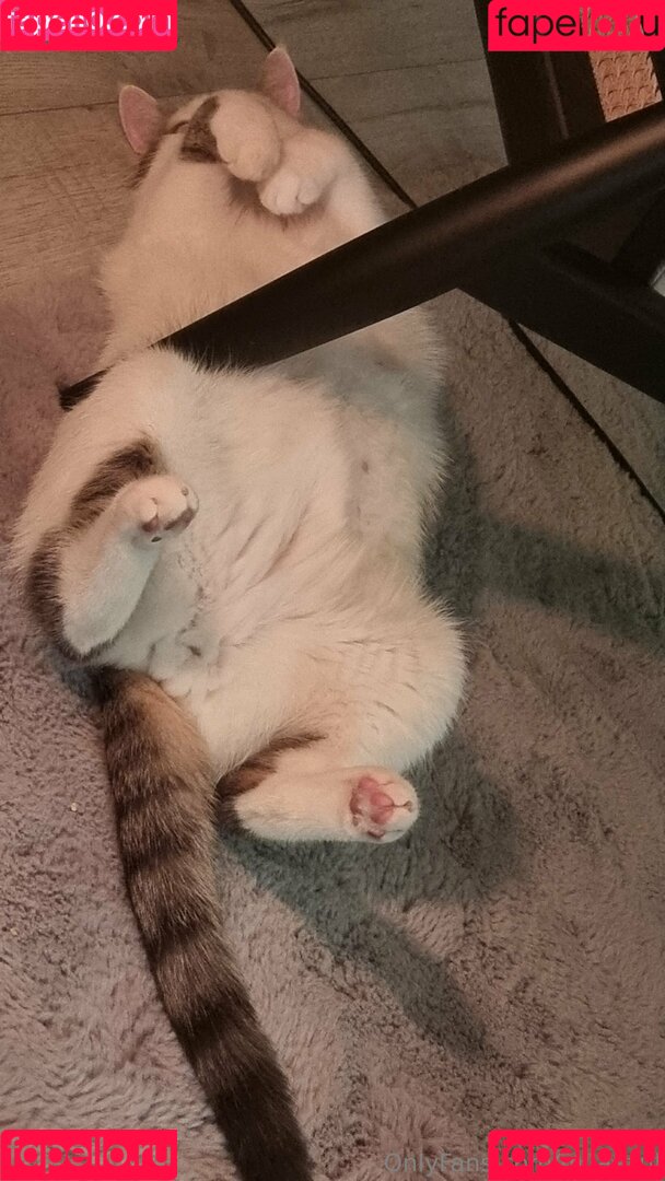 milaazul Onlyfans Photo Gallery 