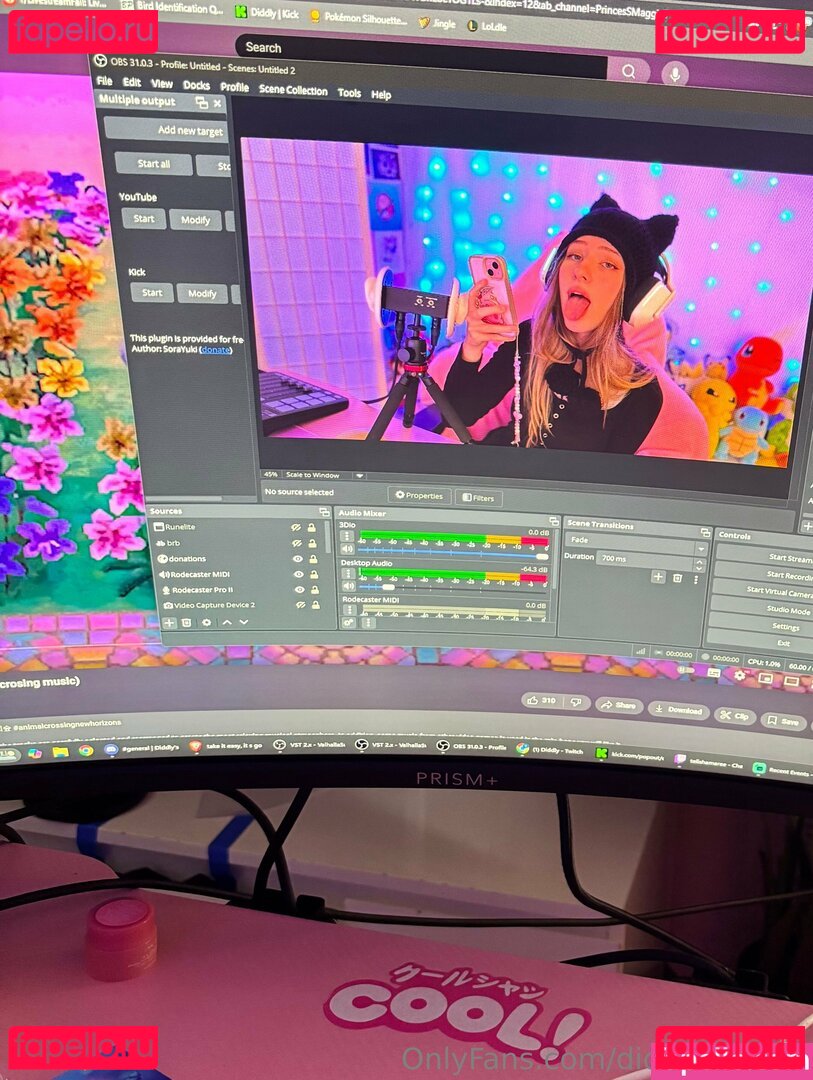 DiddlyASMR / diddly / diddlydonger / ohdiddly Onlyfans Photo Gallery 