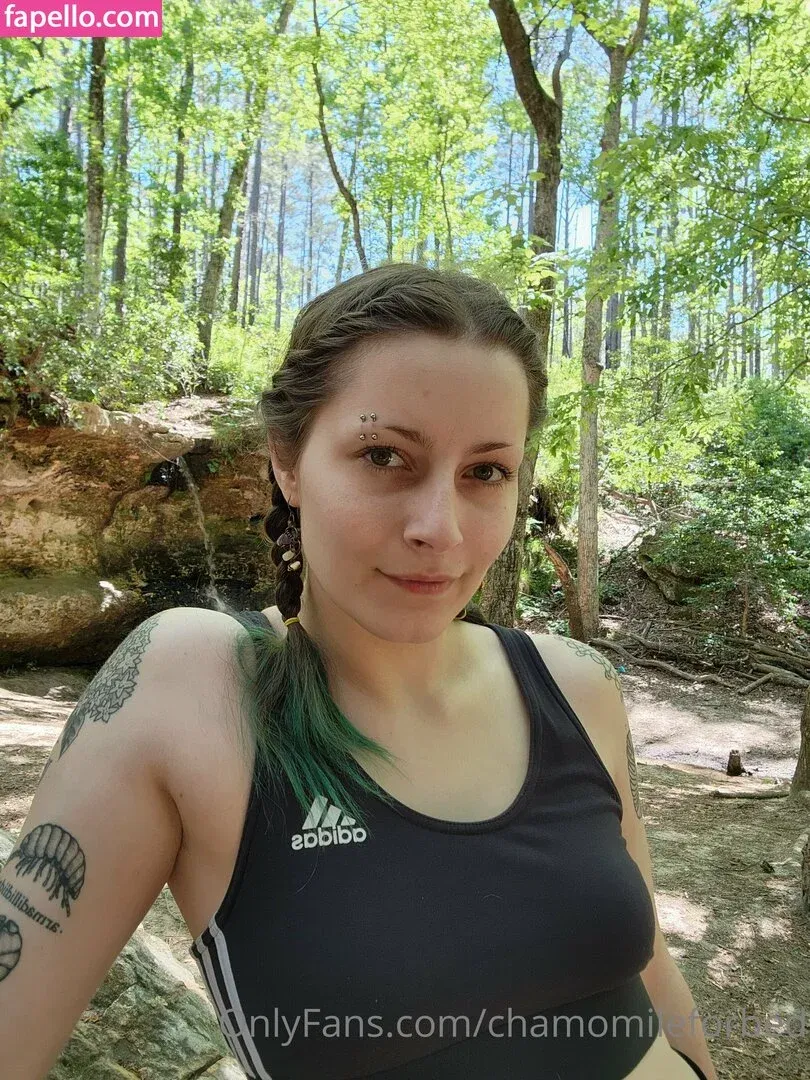 chamomileforbed Onlyfans Photo Gallery 