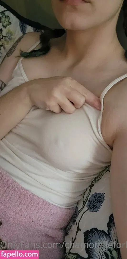 chamomileforbed Onlyfans Photo Gallery 