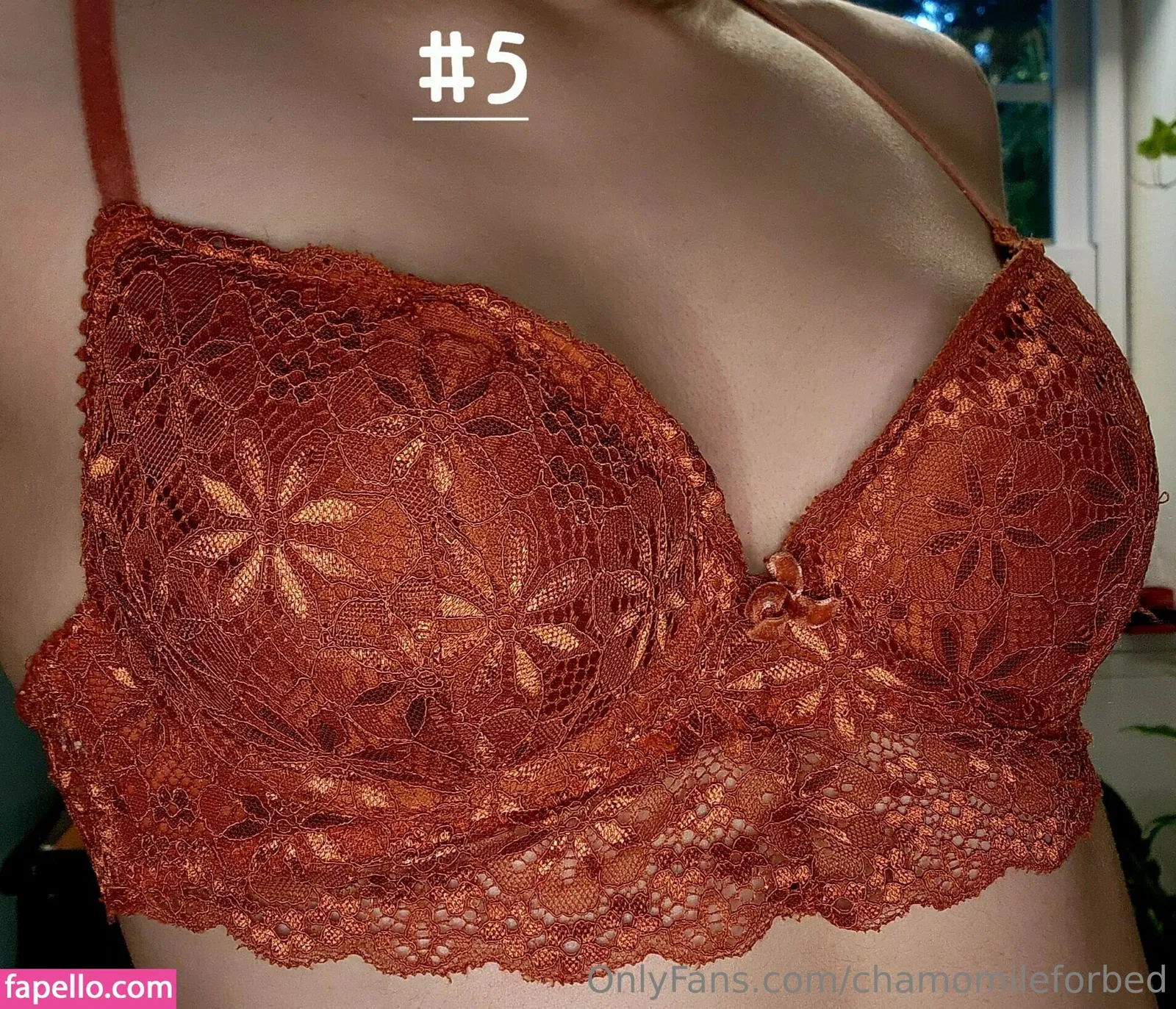 chamomileforbed Onlyfans Photo Gallery 