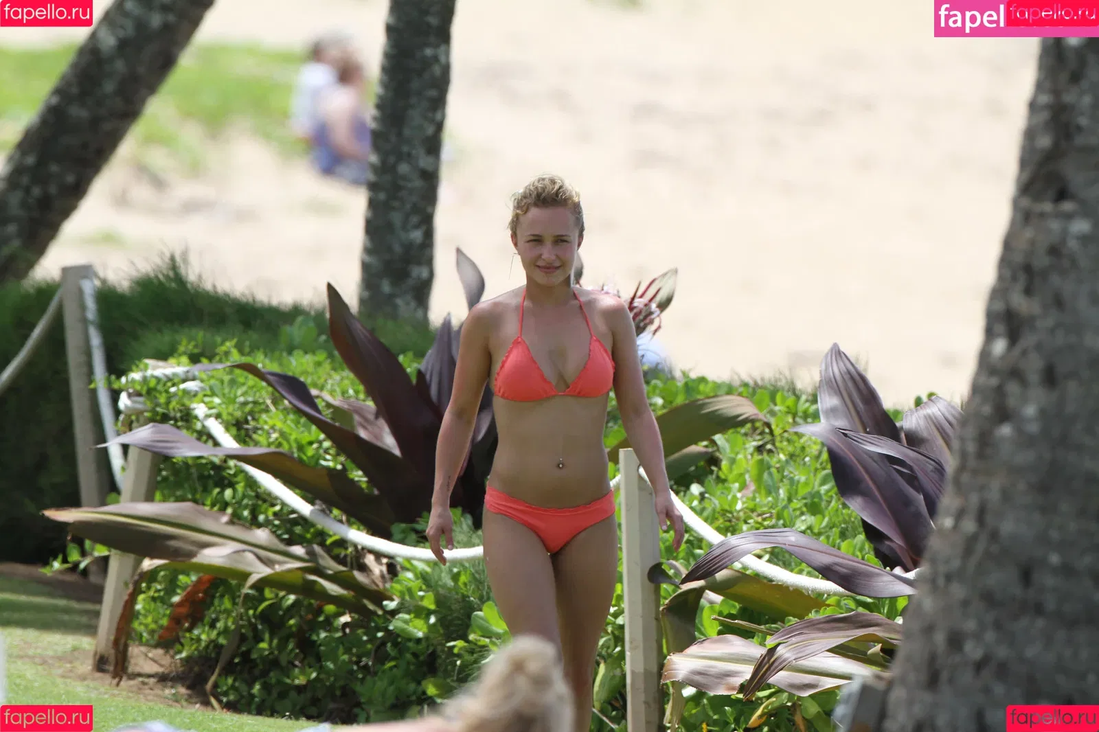 Hayden Panettiere Onlyfans Photo Gallery 