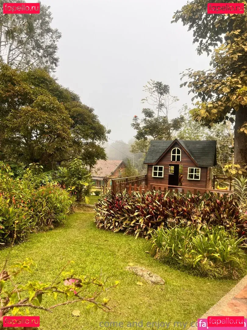 inocentekitty11 Onlyfans Photo Gallery 