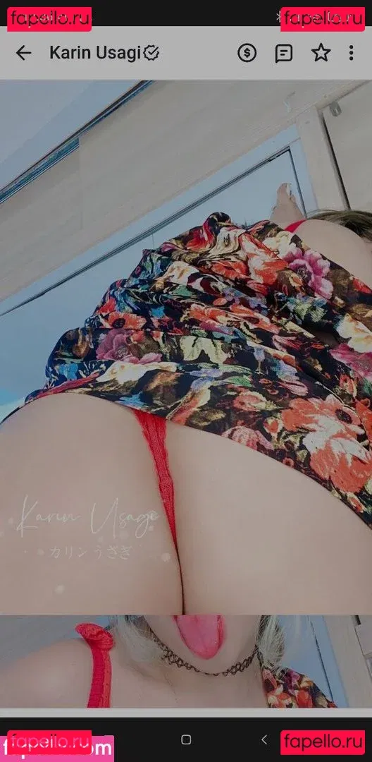 Karin Usagi Onlyfans Photo Gallery 