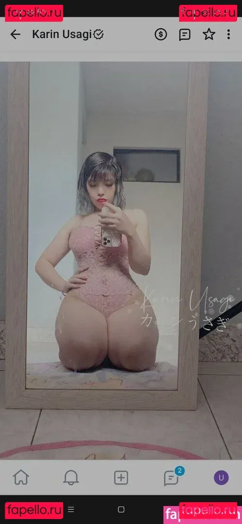 Karin Usagi Onlyfans Photo Gallery 