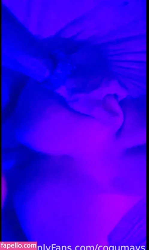 Cogumays Onlyfans Photo Gallery 