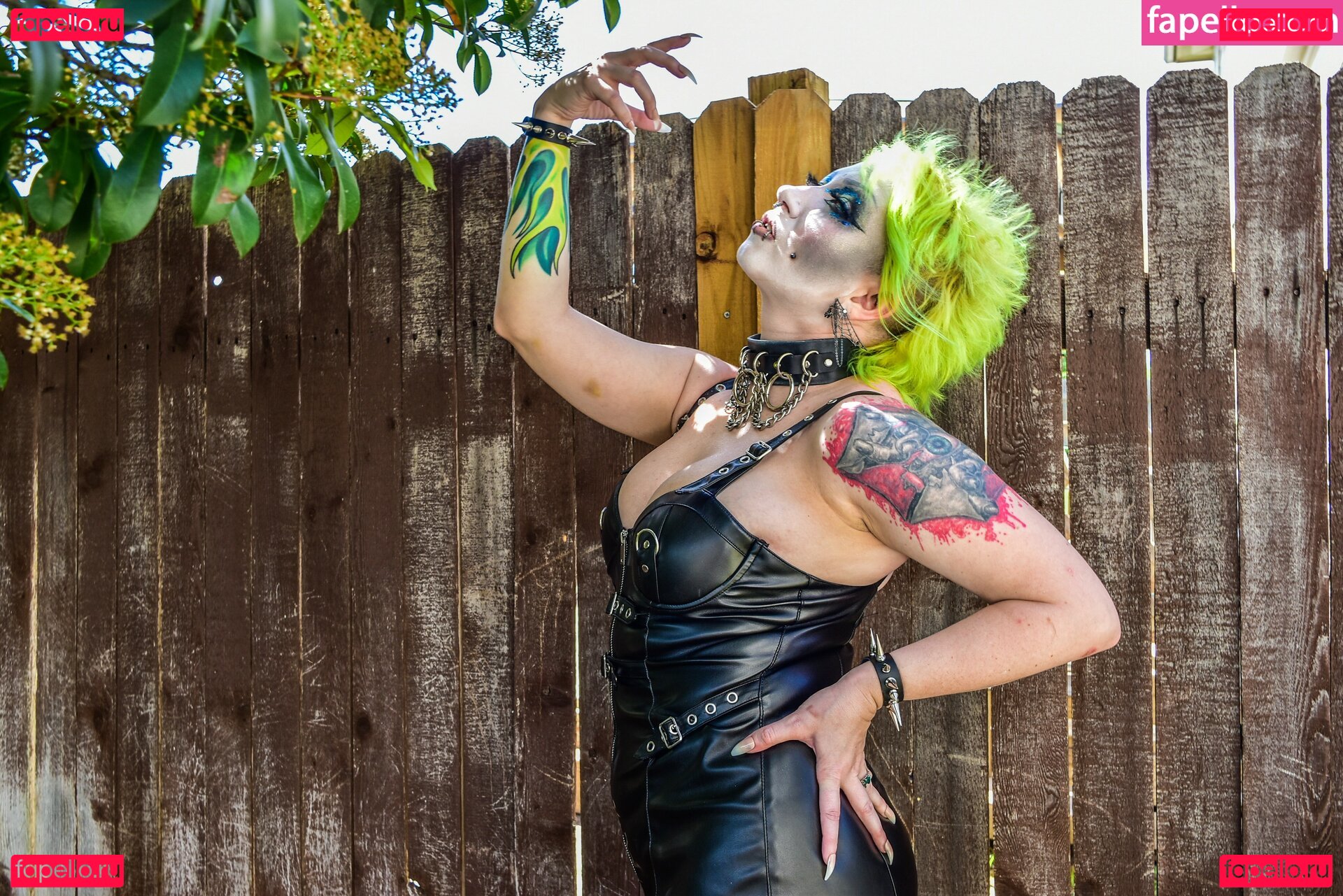 AEW Abadon / abadon_aew Onlyfans Photo Gallery 