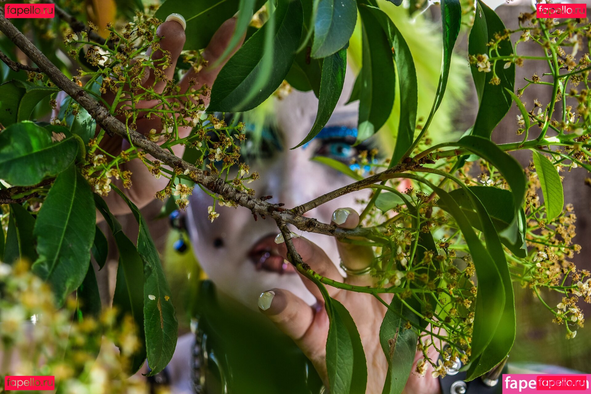 AEW Abadon / abadon_aew Onlyfans Photo Gallery 