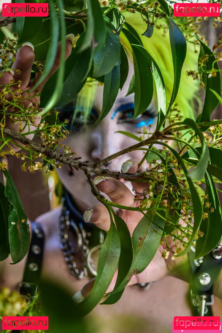 AEW Abadon / abadon_aew Onlyfans Photo Gallery 