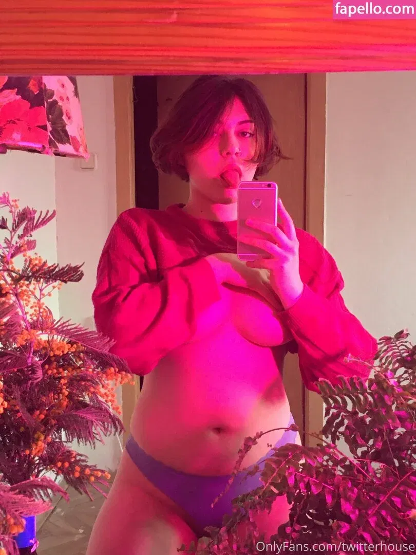 twitterhouse Onlyfans Photo Gallery 