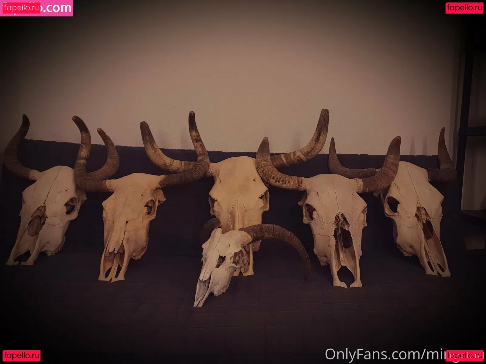 mingnaa Onlyfans Photo Gallery 