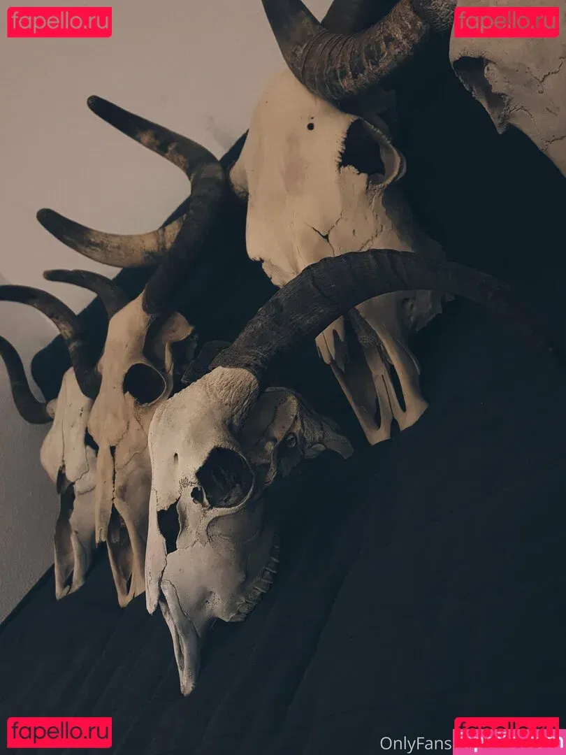 mingnaa Onlyfans Photo Gallery 