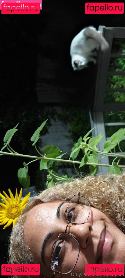 alicepika Onlyfans Photo Gallery 