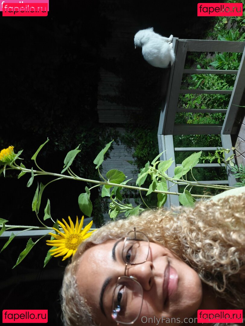 alicepika Onlyfans Photo Gallery 