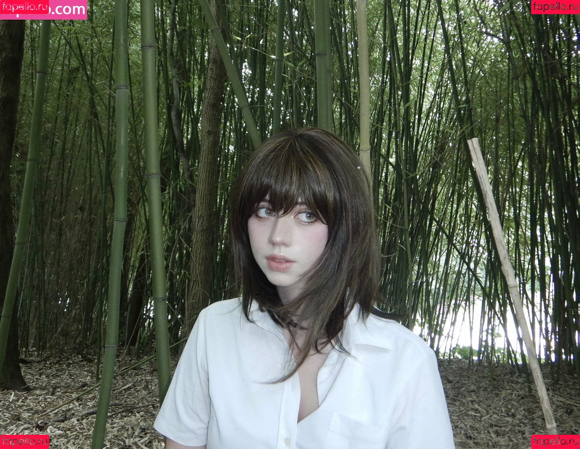 Ochya0 Onlyfans Photo Gallery 