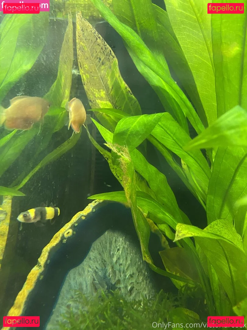 buffbandittfree Onlyfans Photo Gallery 