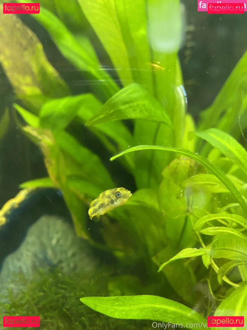 buffbandittfree Onlyfans Photo Gallery 