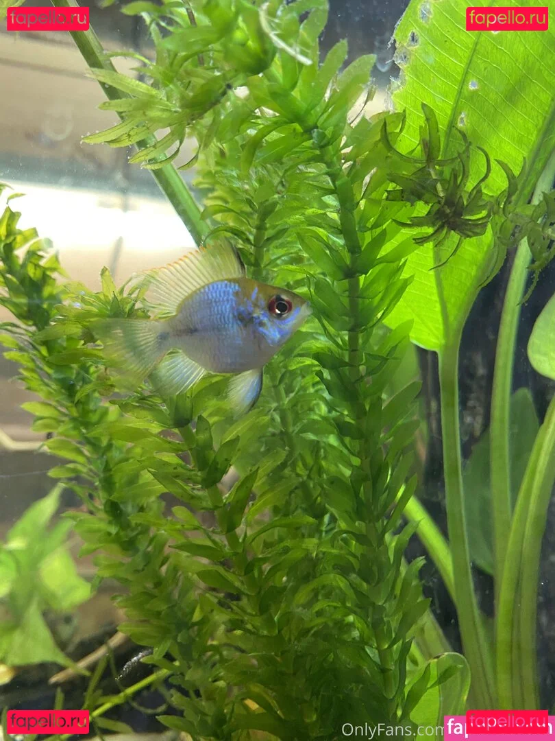 buffbandittfree Onlyfans Photo Gallery 